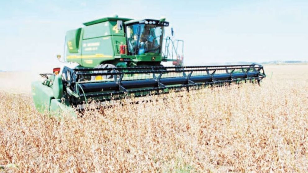 La campaña gruesa viene con rindes a la baja