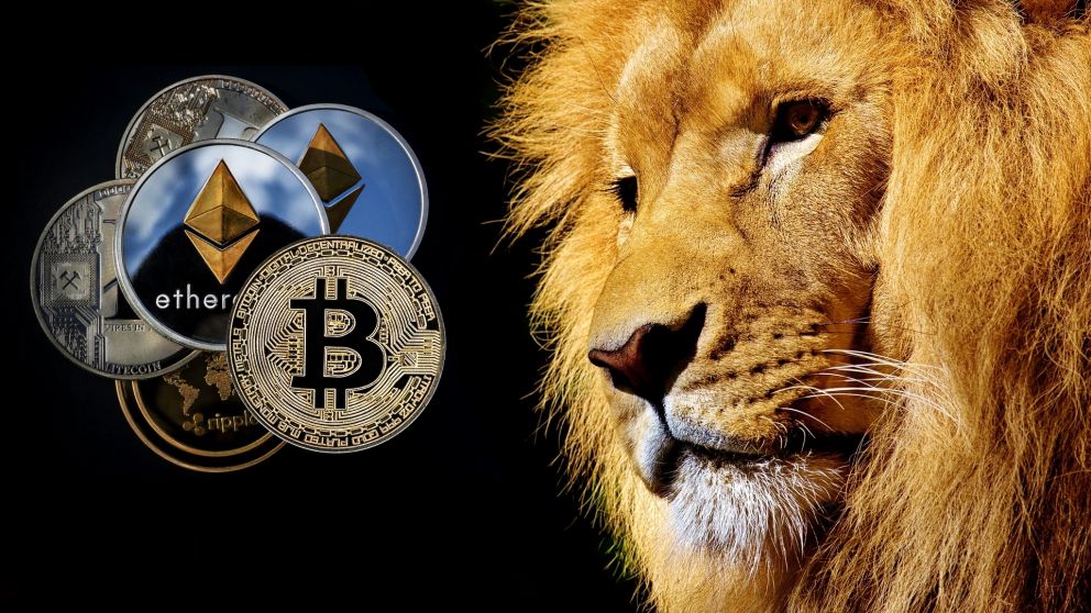 Sudáfrica recomienda regulaciones cripto