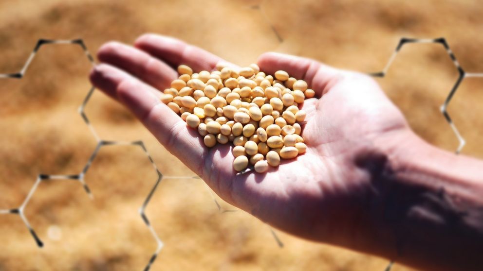 Blockchain llega al sector agrícola de Colombia