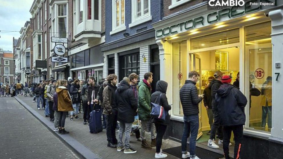 El gobierno anunció el cierre de los coffe shops y los holandeses hicieron fila para conseguir su marihuana recreativa