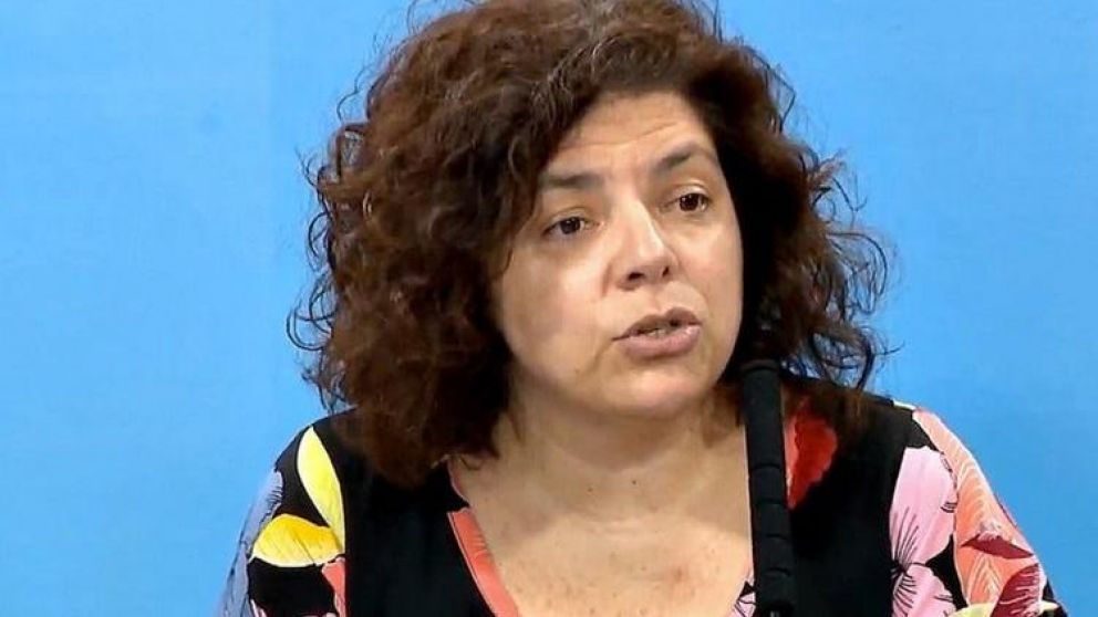 "Va a haber más muestras y pueden aumentar los casos", advirtió Vizzotti