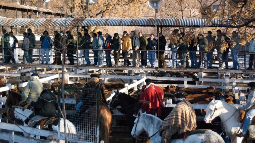 Pasarelas colmadas de público, una escena habitual durante los remates en el Mercado de Liniers
