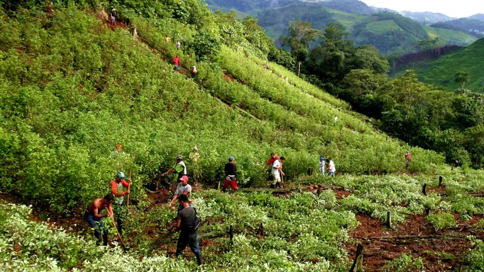 Asesinatos de las FARC
