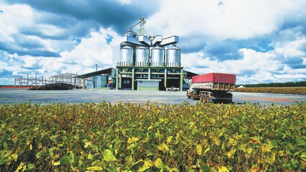 El campo volvió este viernes a sus actividades habituales