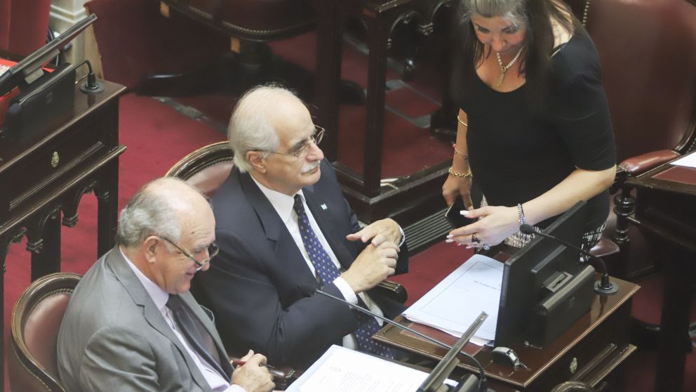 Parrilli, Taiana y Solari Quintana, durante la sesión