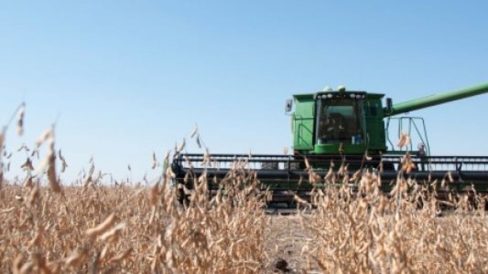 Las lluvias llegaron con demora a la zona núcleo