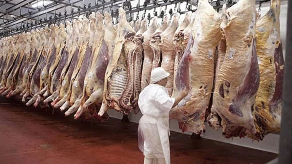 El 75% de las ventas al exterior se destinaron a China