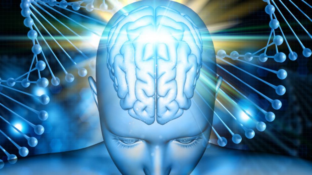 Una espiral de ADN sería la clave para que surja un nuevo líder