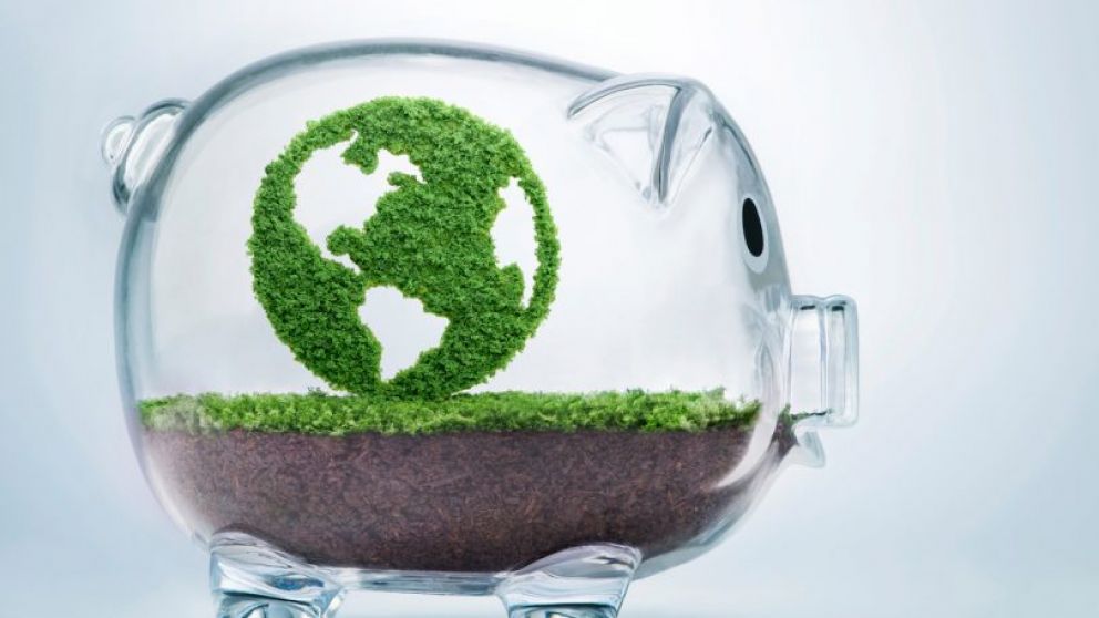 Existen muchas alternativas de inversiones en empresas que act�an con conciencia ecol�gica