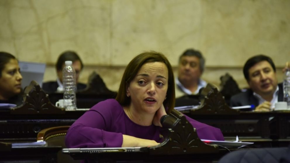 Moreau: "No imagino al macrismo defendiendo las jubilaciones de privilegio"