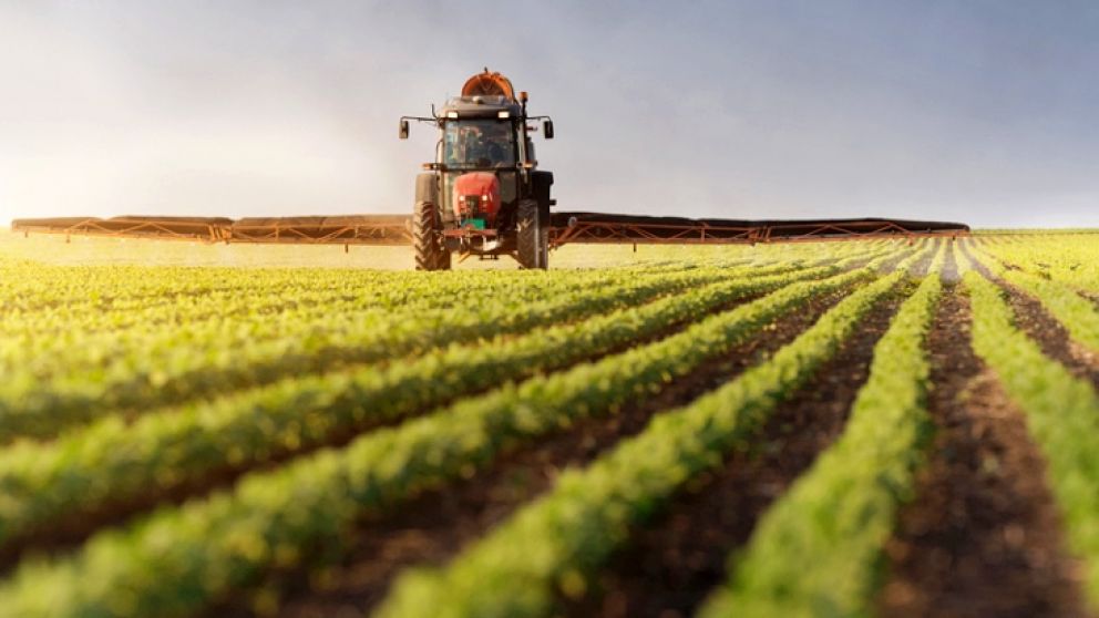 El campo señaló al gobierno como ineficiente