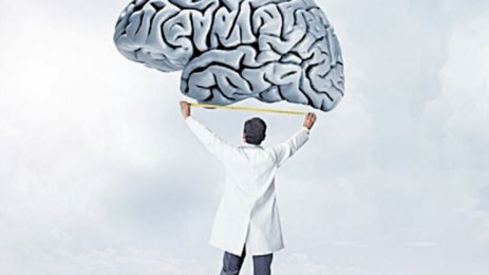 ¿Cuenta el tamaño del cerebro para ser más inteligente?