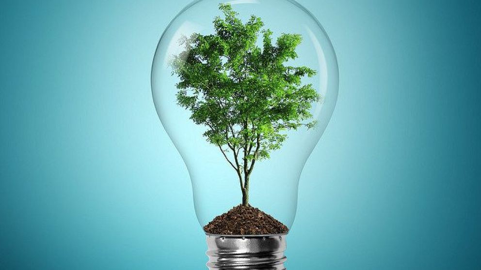 Un Green New Deal para la Argentina, una propuesta para el desarrollo sustentable