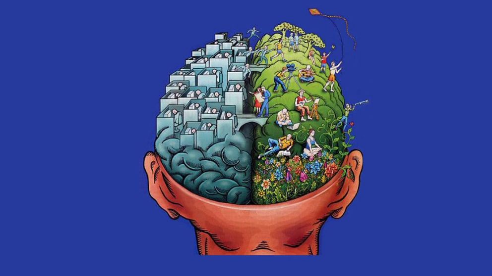 El cerebro de los emprendedores