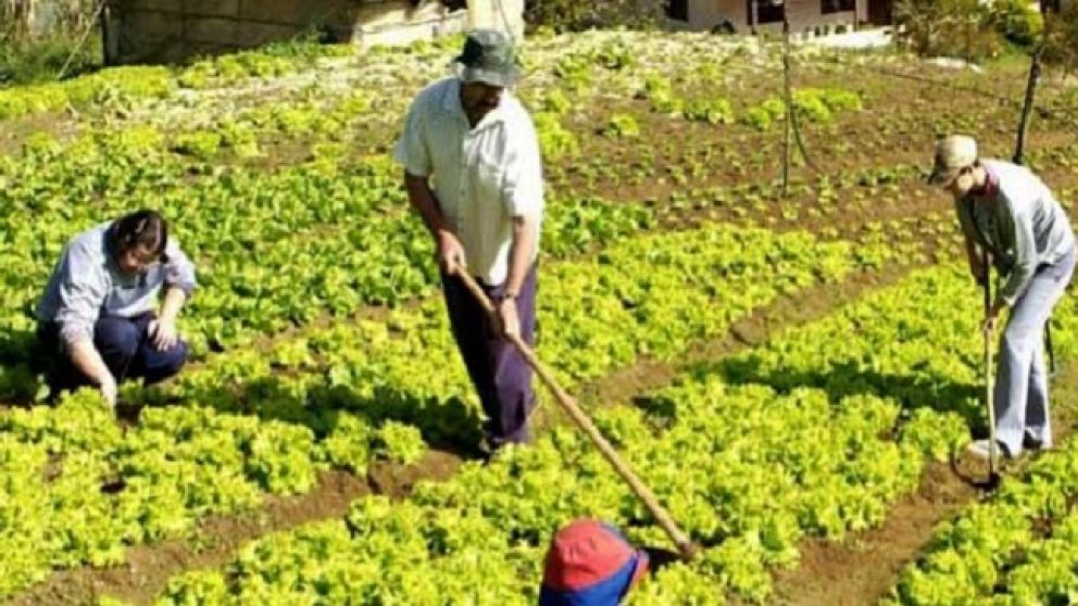 Afirman que el sector contiene alrededor de 250.000 familias