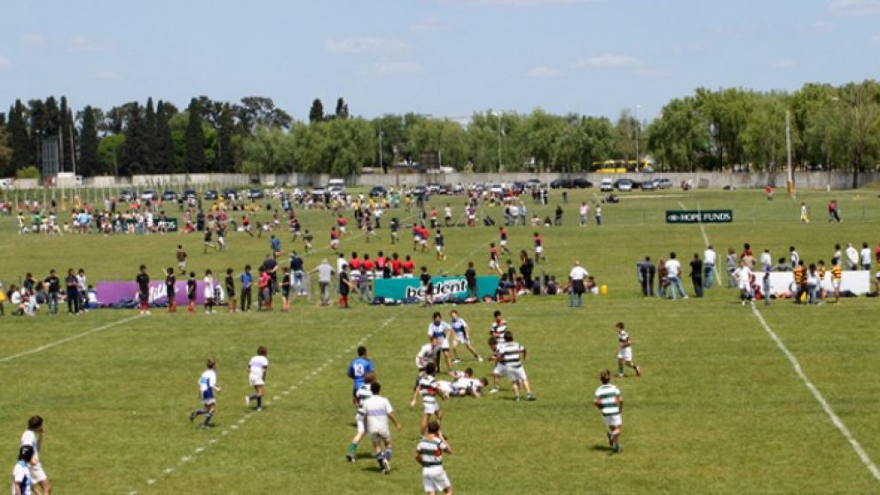 Los proyectos se multiplican tras el asesinato de Fernando