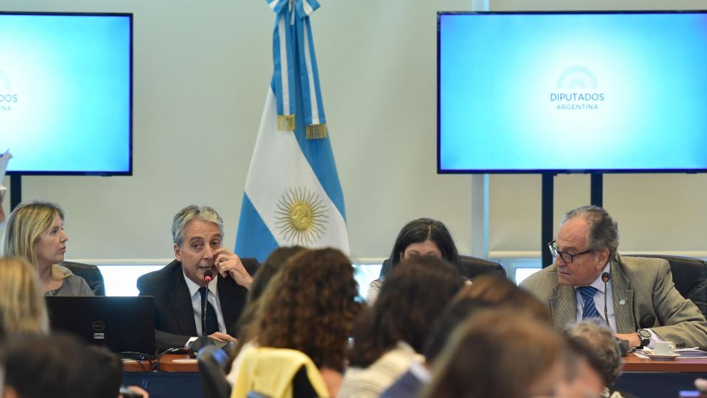 El subprocurador del Tesoro defendió el proyecto