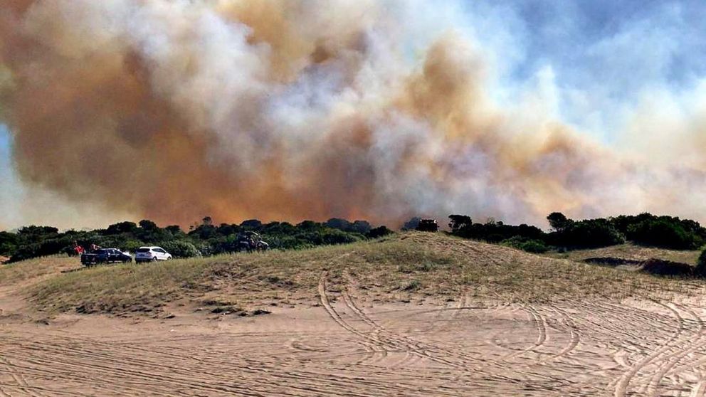 Se incendia el bosque de Villa Gesell