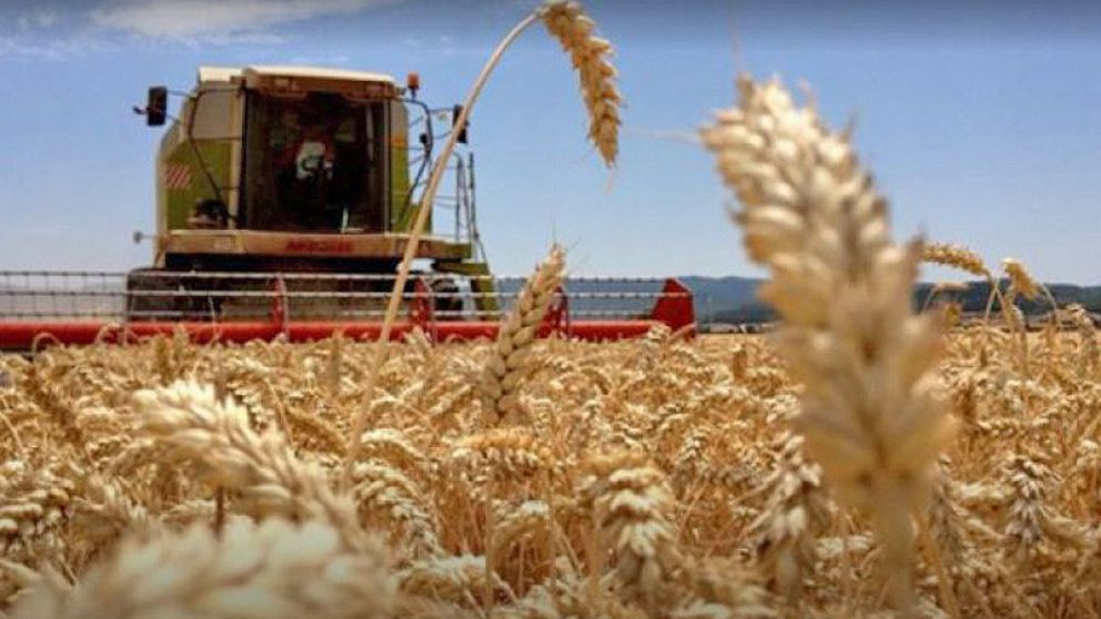 La producción del sector puede triplicar el consumo interno