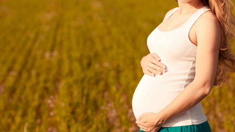 Es fundamental la prevención del zika durante el embarazo