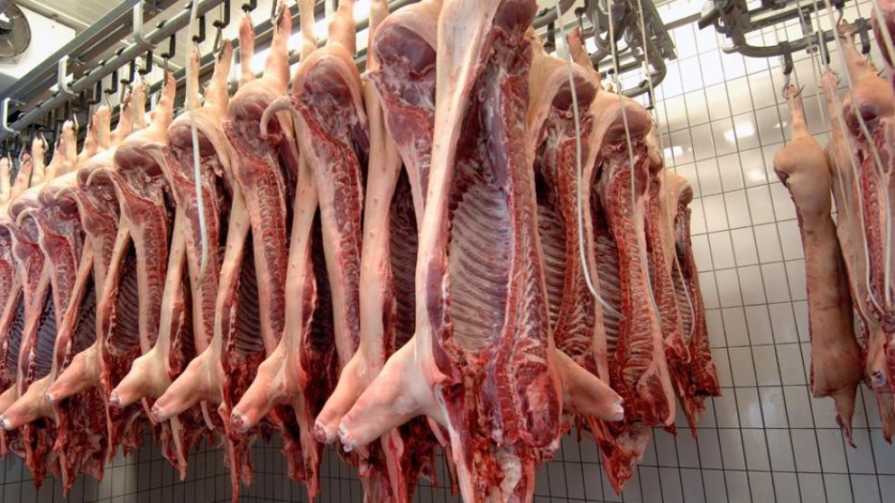 El proyecto prevé exportar 9 millones de toneladas