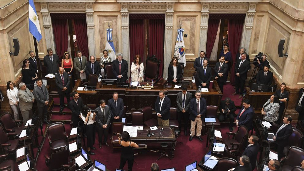 La Cámara alta aprobó la ley de Emergencia económica