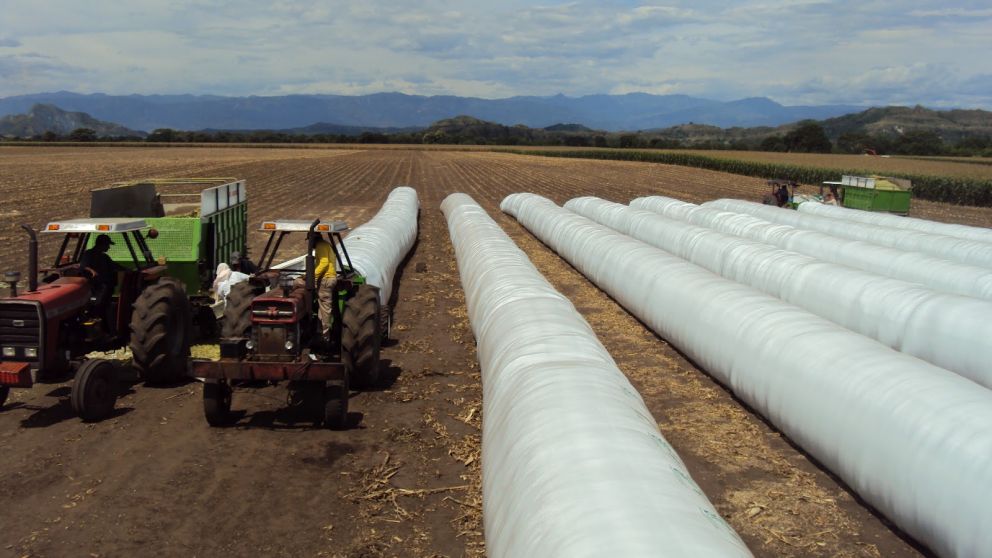 No hay apuro por comercializar los granos
