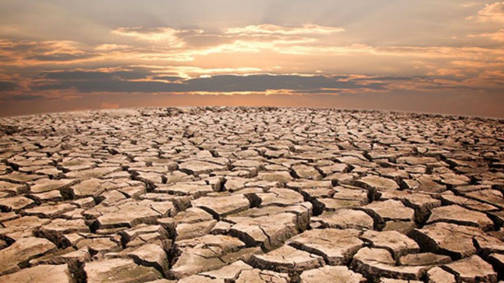 La tasa de extinción es cientos de veces mayor que la de los últimos 10 millones de años