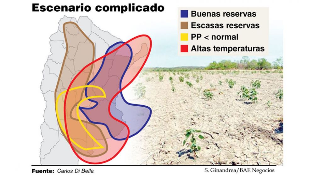 Corrigen a la baja la estimación de cosecha de soja por falta de agua