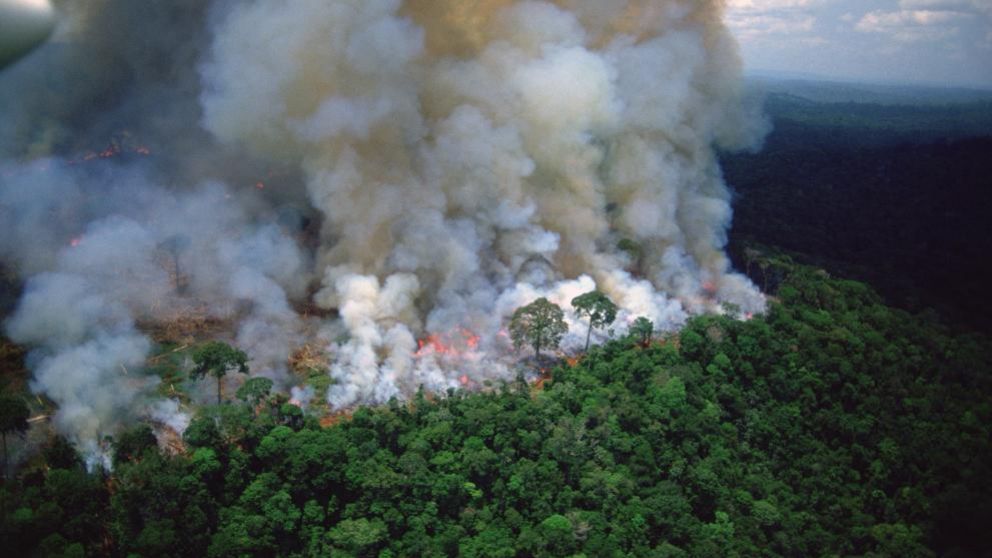 La crisis climática gana espacio en la agenda del G7 por el incendio en la Amazonia