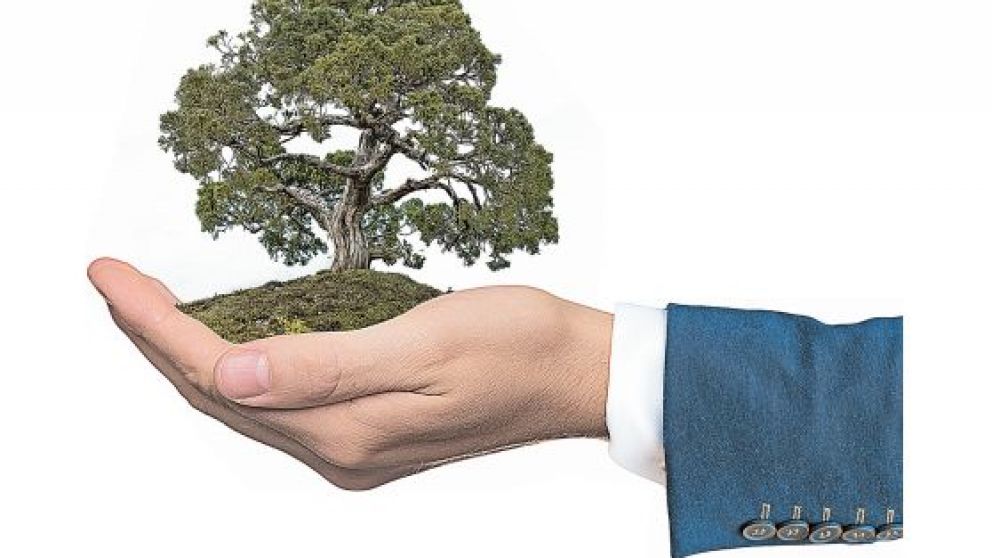 Los bonos también se ponen verdes