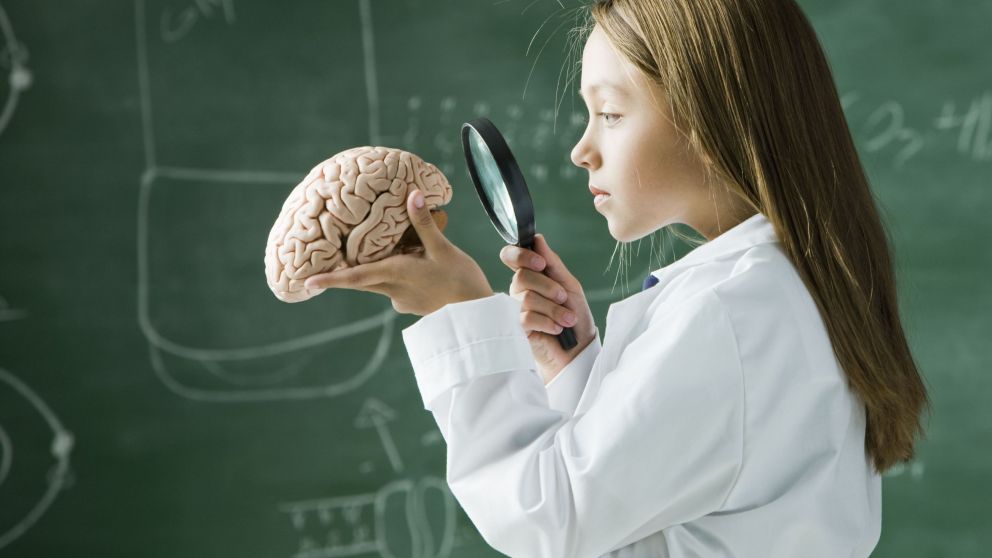 Hambre infantil y cerebro