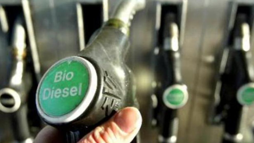 Buscan que los biocombustibles sean tratados como recursos de "interés nacional"