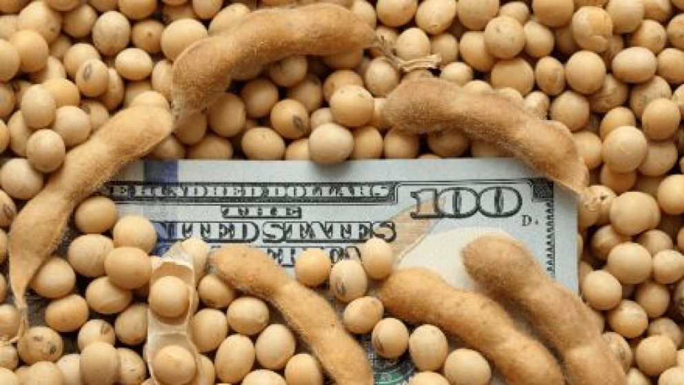 El cepo anticip� el ingreso de divisas y agroexportadores superaron su liquidaci�n