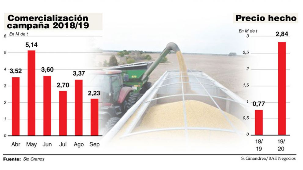 Exportadores se retiran del mercado hasta saber el resultado de las elecciones