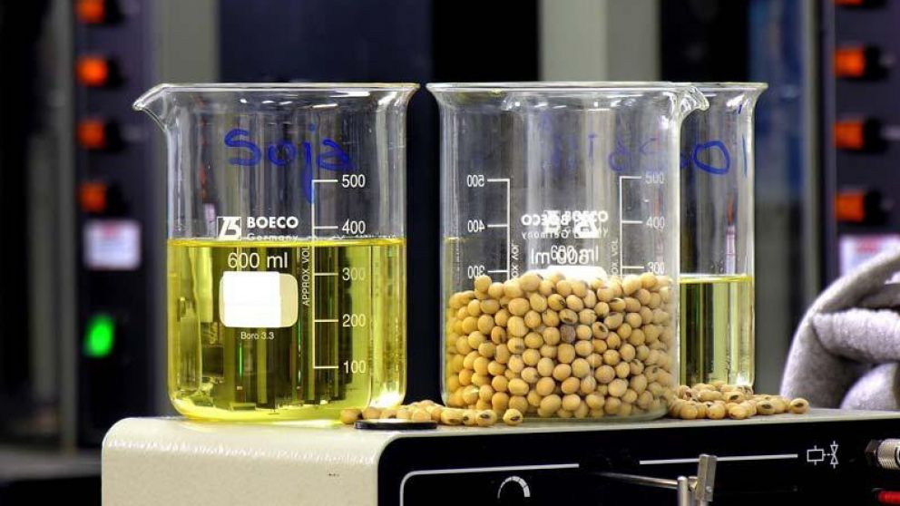 En su mezcla con las naftas, hoy el biodiésel representa el 10%