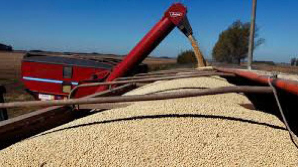 La suba de aranceles llevó a una baja del precio de la soja