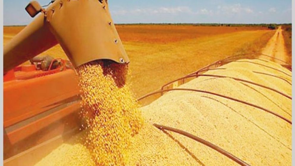 Argentina es el primer exportador mundial de harina de soja
