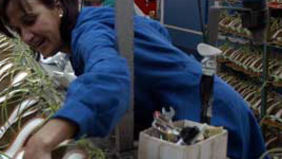 Crisis sectorial afecta el empleo