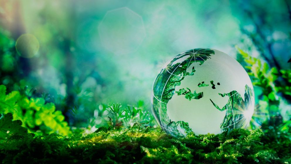 "Podemos ayudar a salvaguardar la fauna y flora nativas"