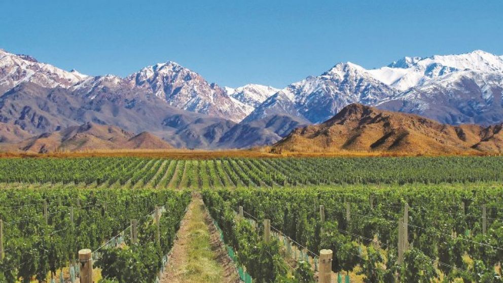 Destacan la calidad del vino argentino