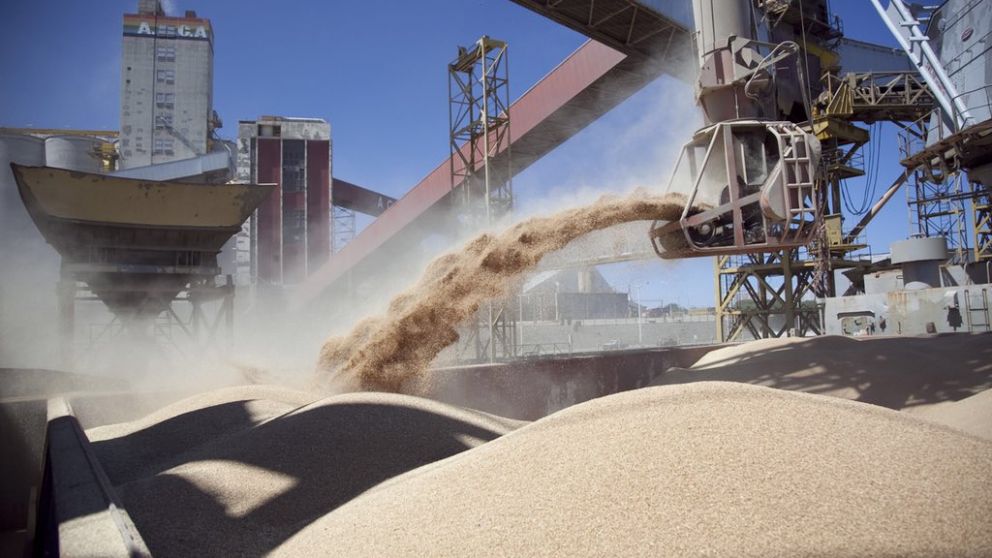 Argentina es el mayor exportador de harina y aceite de soja del mundo