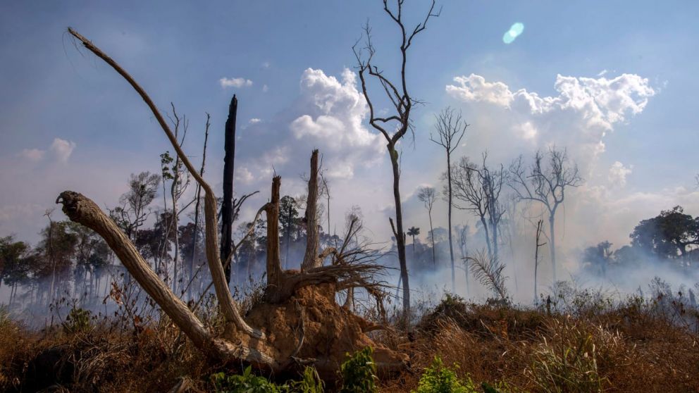 El fuego sigue arrasando la Amazonia