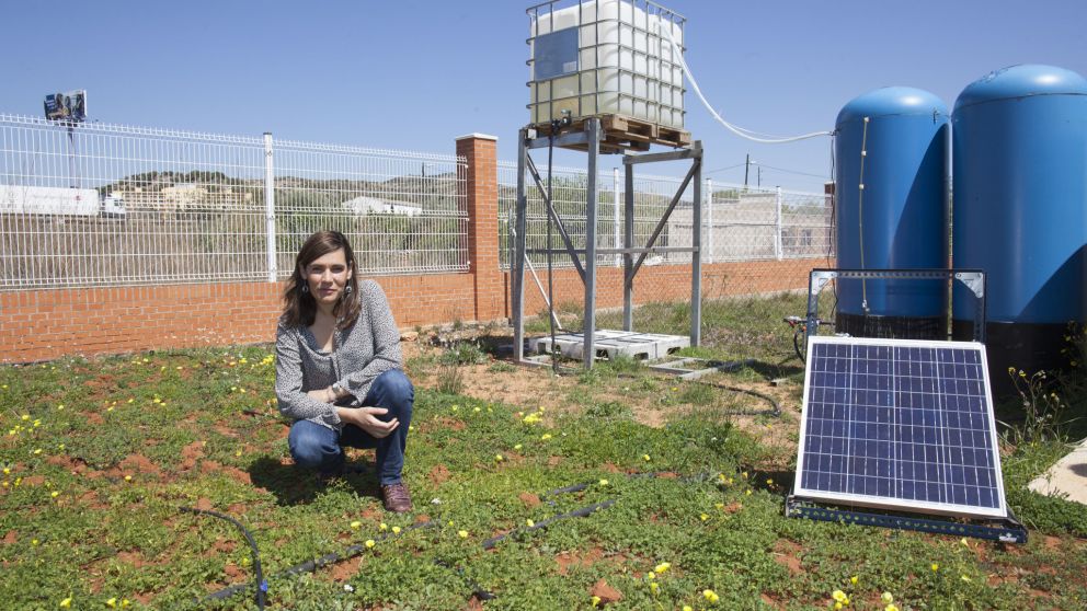 Licitan proyectos de energía renovable