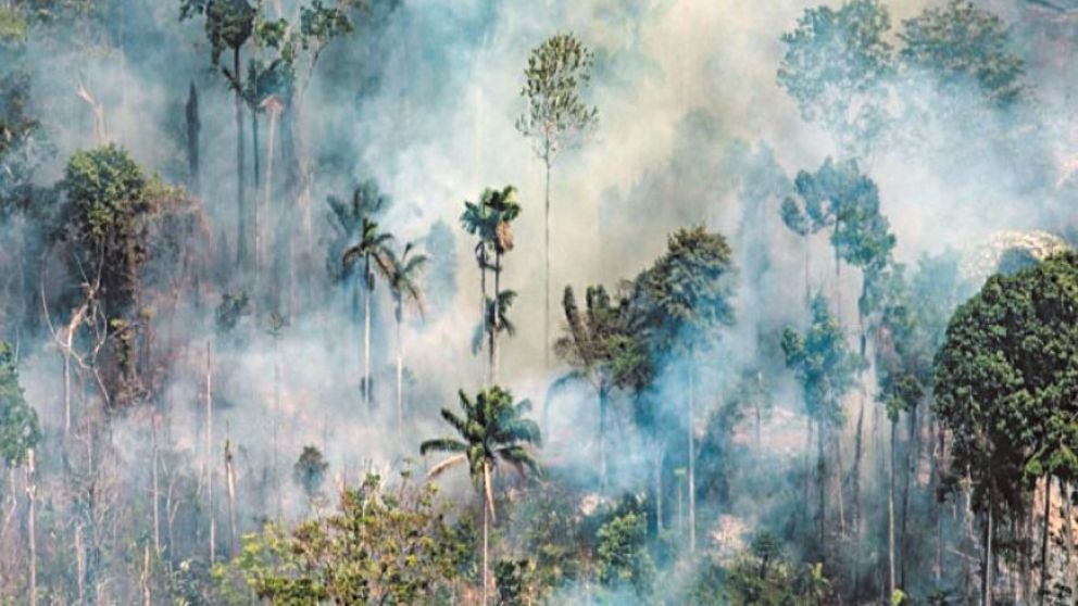 Más de mil nuevos incendios se declararon el fin de semana