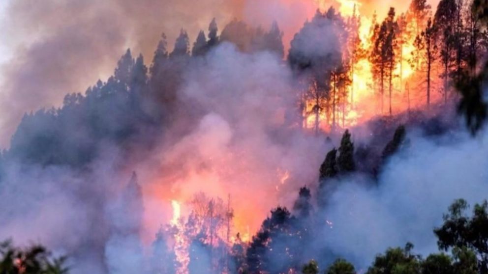 Los incendios estpan cerca de alcanzar a los países vecinos