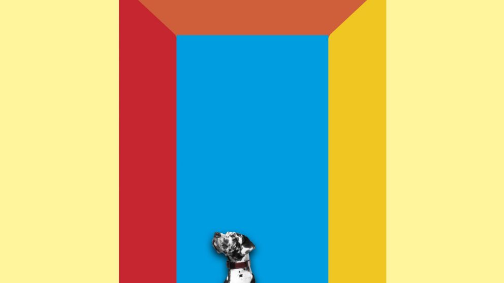 Una escritora, un perro y un duelo compartido en Nueva York