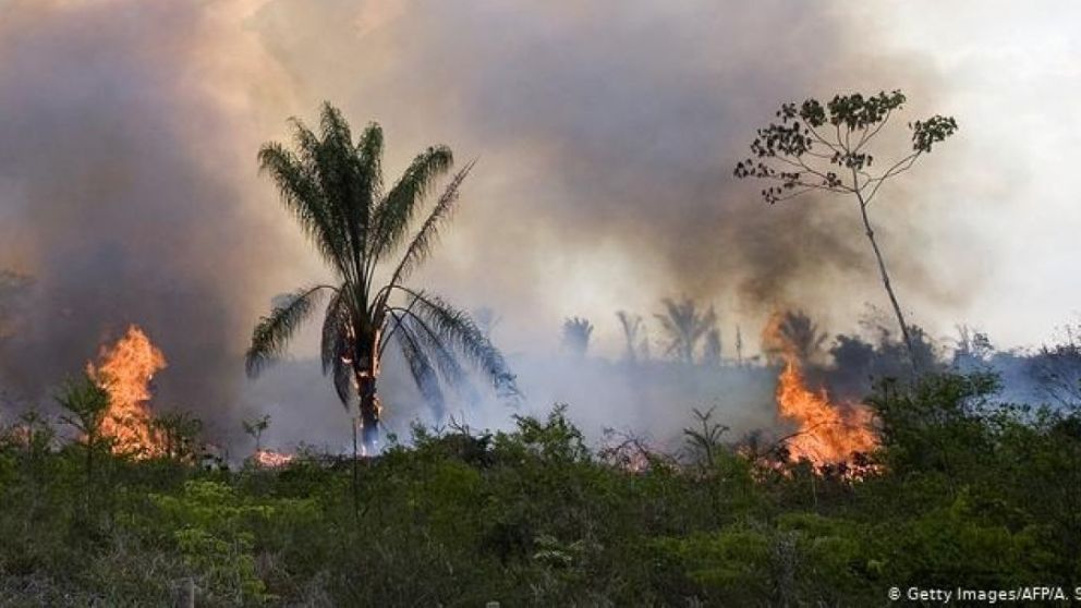 Los incendios están devastando la región