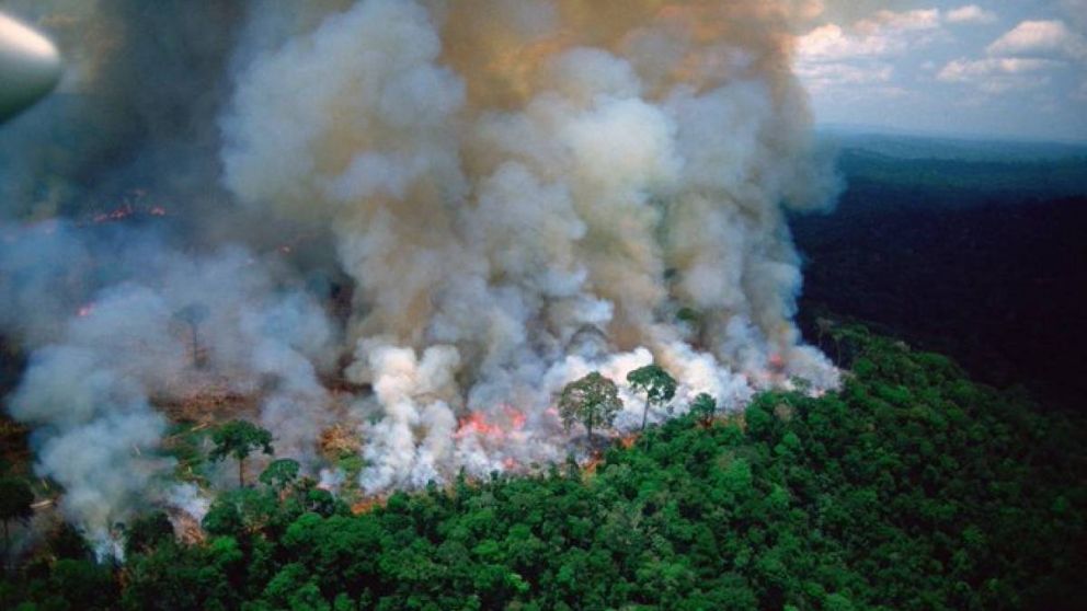Los incendios aumentaron 80% este año en la zona