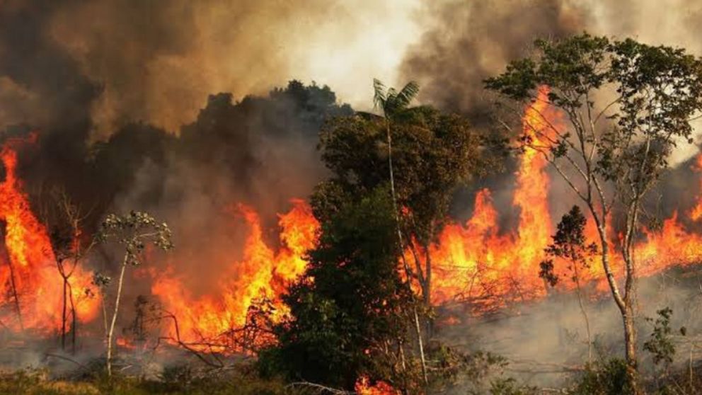 El Amazonas se encuentra en alarma ambiental